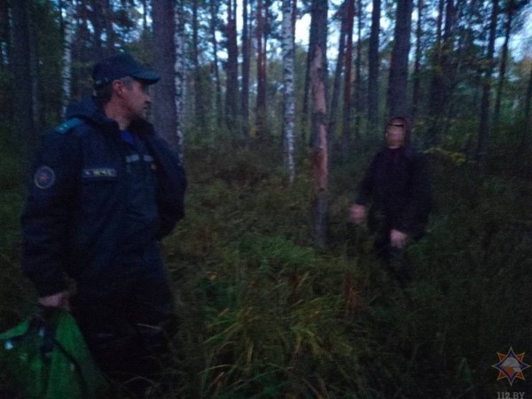 В Брестской области найдена женщина, которая заблудилась в лесу В Брестской области найдена женщина, которая заблудилась в лесу