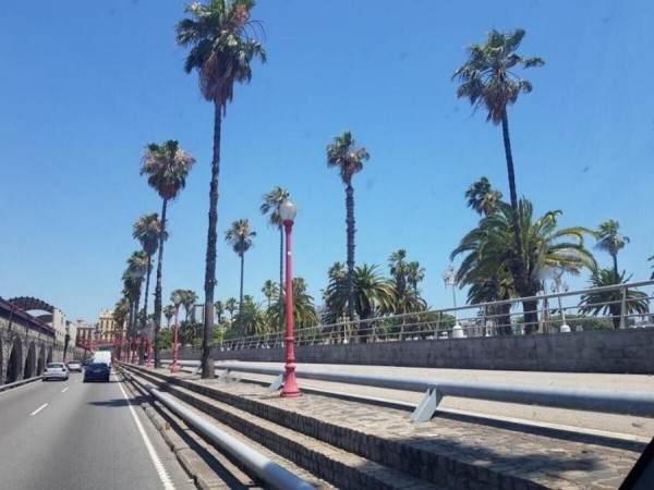 Водитель грузовика переехал в Польшу и рассказал о заработке Водитель грузовика переехал в Польшу и рассказал о заработке