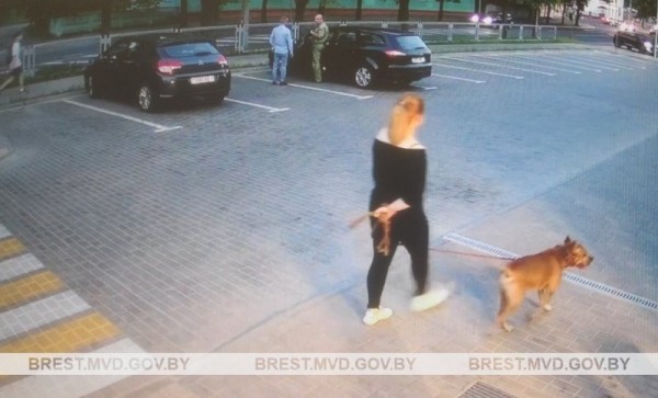 В Бресте ищут хозяйку собаки бойцовской породы В Бресте ищут хозяйку собаки бойцовской породы