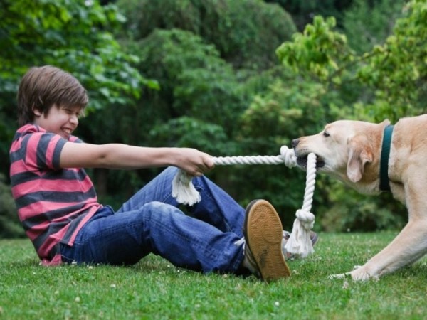 Дети и домашние животные. От первого знакомства до дружбы на всю жизнь