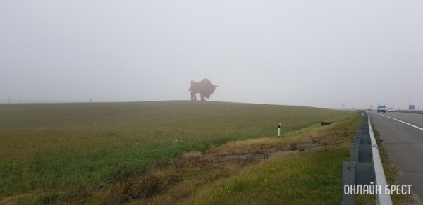 Гигантскую скульптуру зубра у трассы М1 отремонтируют Гигантскую скульптуру зубра у трассы М1 отремонтируют