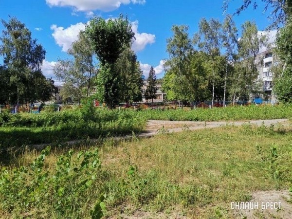 Читатель: Брест, ул. Янки Купалы, 12. Территория во дворе возле садика нуждается в покосе травы
Читатель: Брест, ул. Янки Купалы, 12. Территория во дворе возле садика нуждается в покосе травы