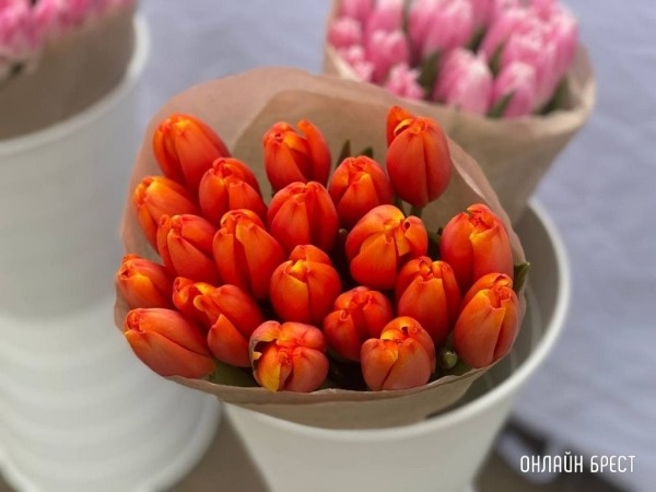 Хотите продать цветы с огорода перед 1 сентября? Налоговая напомнила стоимость Хотите продать цветы с огорода перед 1 сентября? Налоговая напомнила стоимость