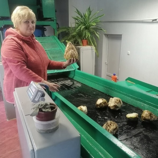 Сладкие горы в Каменецком районе Сладкие горы в Каменецком районе