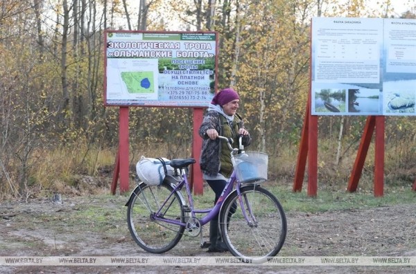 Ольманские болота - клюквенный рай (Брестская область) Ольманские болота - клюквенный рай (Брестская область)