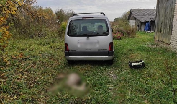 Водитель увидел мертвую косулю и решил забрать. Ему грозит до 3 лет тюрьмы Водитель увидел мертвую косулю и решил забрать. Ему грозит до 3 лет тюрьмы