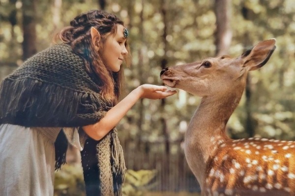 Эльфы и олени — кого только не увидишь в Кобринском лесхозе Эльфы и олени — кого только не увидишь в Кобринском лесхозе