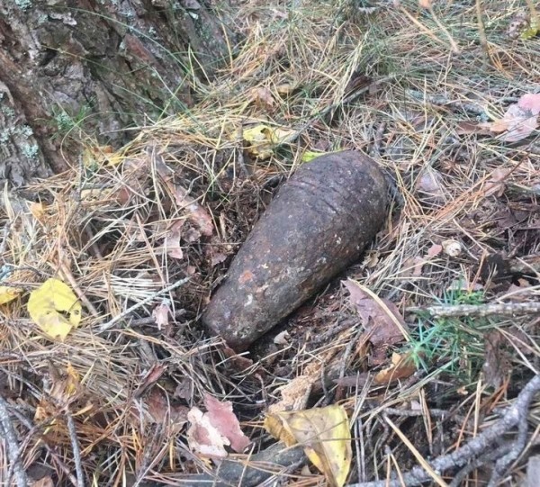 Пинчанин во время «тихой охоты» нашел...мину Пинчанин во время «тихой охоты» нашел...мину