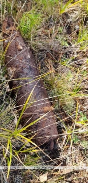 В Брестской области грибник нашел гранату времен Первой мировой войны В Брестской области грибник нашел гранату времен Первой мировой войны