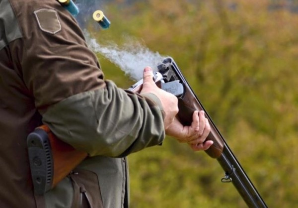 Шесть охотников подстрелили лося в Брестской области, но сделали это с нарушениями Шесть охотников подстрелили лося в Брестской области, но сделали это с нарушениями