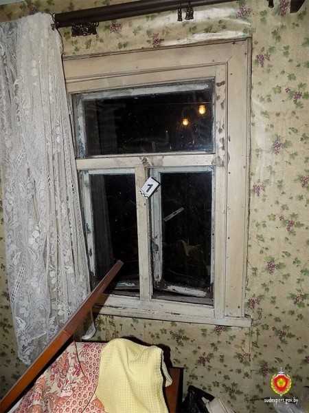 Кобринские судебные эксперты установили вора по следу руки