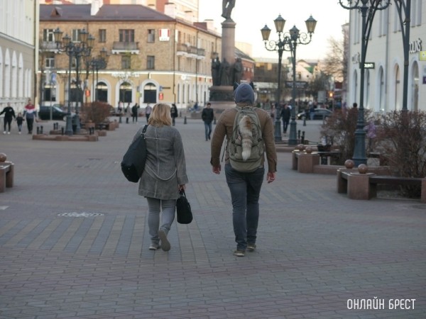 Откуда взялся миф о 10 тыс. шагов в день для поддержания здоровья Откуда взялся миф о 10 тыс. шагов в день для поддержания здоровья