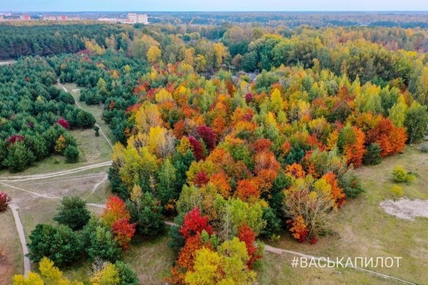 
                Краски осеннего Бреста
            