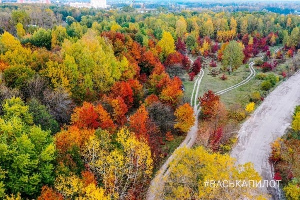 
                Краски осеннего Бреста
            