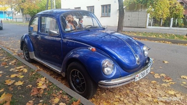 Читатель: Такой классный автомобиль можно увидеть в центре Бреста. А какая милашка сидит на пассажирском
Читатель: Такой классный автомобиль можно увидеть в центре Бреста. А какая милашка сидит на пассажирском