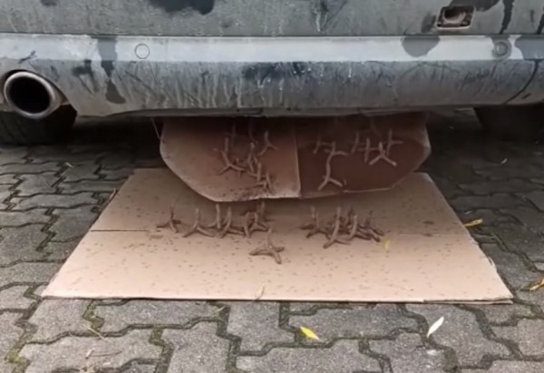 Контрабандисты сделали в Audi тайник, откуда высыпаются шипы на случай погони Контрабандисты сделали в Audi тайник, откуда высыпаются шипы на случай погони