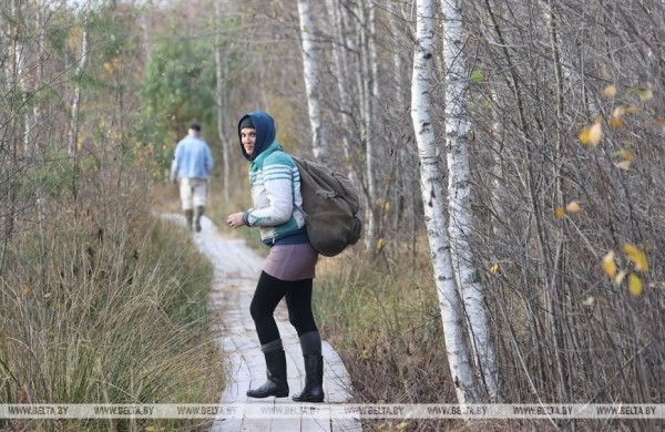 Ольманские болота - клюквенный рай (Брестская область) Ольманские болота - клюквенный рай (Брестская область)