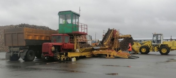 Сладкие горы в Каменецком районе Сладкие горы в Каменецком районе