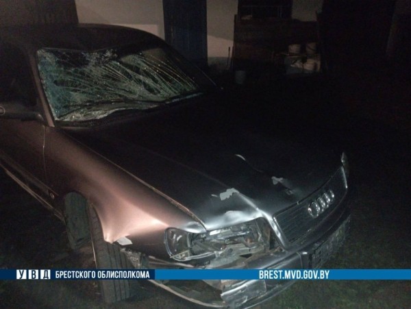 В Ивацевичском районе автомобиль сбил лося В Ивацевичском районе автомобиль сбил лося