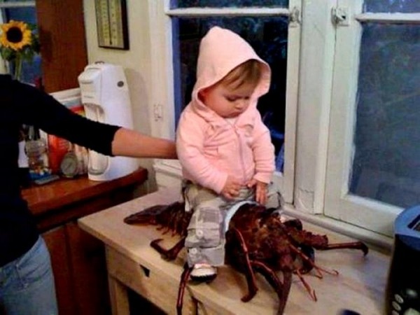 15 фотографий, доказывающих, что лучший источник позитива — это дети 15 фотографий, доказывающих, что лучший источник позитива — это дети