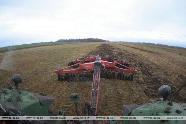 Как хрупкая женщина стала механизатором. Репортаж из Каменецкого района Как хрупкая женщина стала механизатором. Репортаж из Каменецкого района