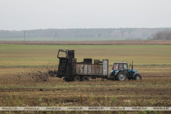 Как хрупкая женщина стала механизатором. Репортаж из Каменецкого района Как хрупкая женщина стала механизатором. Репортаж из Каменецкого района