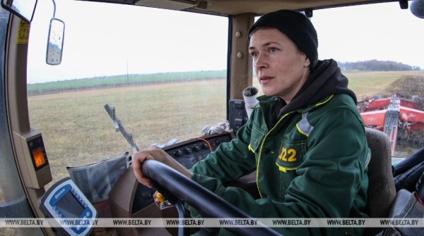 Как хрупкая женщина стала механизатором. Репортаж из Каменецкого района Как хрупкая женщина стала механизатором. Репортаж из Каменецкого района