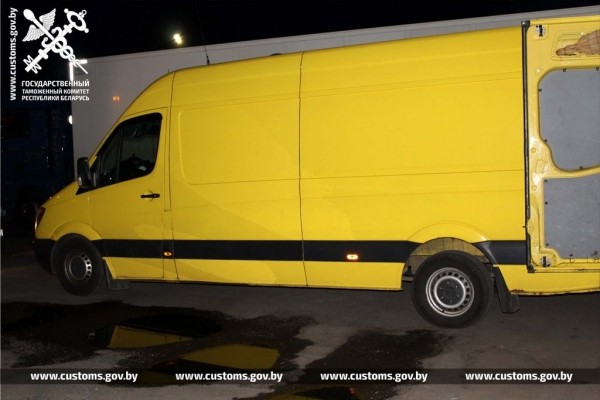 Собак и котов редких пород под видом метисов ввезли в Беларусь из Польши