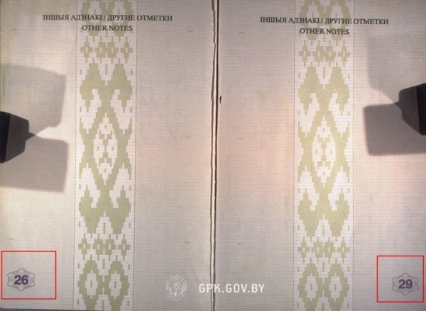 На границе в Бресте женщина предоставила паспорт со сроком действия до июня 2010 года На границе в Бресте женщина предоставила паспорт со сроком действия до июня 2010 года