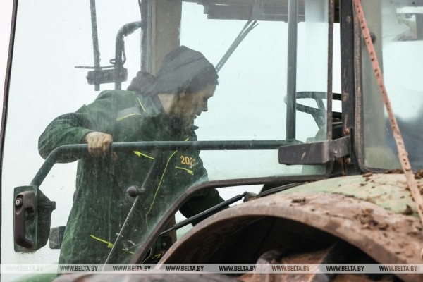 Как хрупкая женщина стала механизатором. Репортаж из Каменецкого района Как хрупкая женщина стала механизатором. Репортаж из Каменецкого района