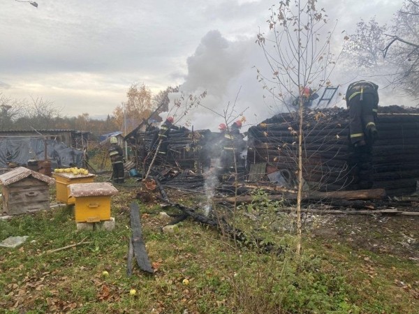 Белорус нашел экстравагантный способ борьбы с осиными гнездами на участке. Все закончилось плохо Белорус нашел экстравагантный способ борьбы с осиными гнездами на участке. Все закончилось плохо