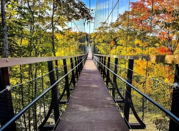 Открылся самый длинный в мире подвесной мост, сделанный в основном из дерева Открылся самый длинный в мире подвесной мост, сделанный в основном из дерева
