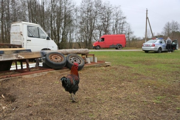 Что думают водители о камерах фотофиксации, которые ловят авто без техосмотра? Что думают водители о камерах фотофиксации, которые ловят авто без техосмотра?