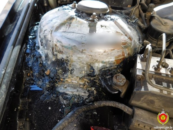 Белорус купил свой первый автомобиль и сразу нарвался на поддельный VIN Белорус купил свой первый автомобиль и сразу нарвался на поддельный VIN