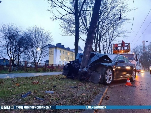 В Беларуси Tesla влетела в столб
