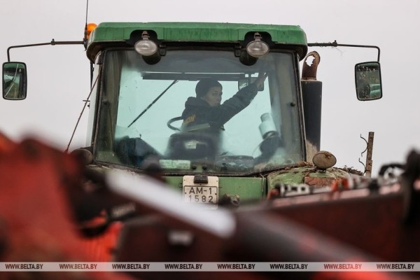Как хрупкая женщина стала механизатором. Репортаж из Каменецкого района Как хрупкая женщина стала механизатором. Репортаж из Каменецкого района