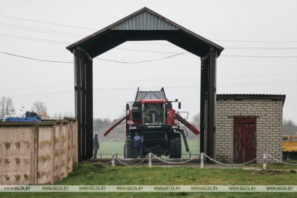 Как хрупкая женщина стала механизатором. Репортаж из Каменецкого района Как хрупкая женщина стала механизатором. Репортаж из Каменецкого района