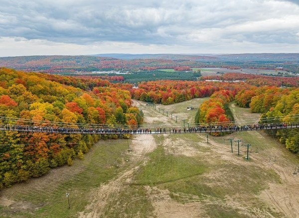 Открылся самый длинный в мире подвесной мост, сделанный в основном из дерева Открылся самый длинный в мире подвесной мост, сделанный в основном из дерева