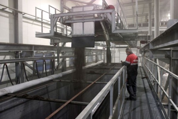 Комплекс по выращиванию грибниц в Кобринском районе замещает импорт и закрывает более половины потребностей внутреннего рынка Комплекс по выращиванию грибниц в Кобринском районе замещает импорт и закрывает более половины потребностей внутреннего рынка