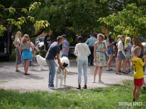 Кинолог назвал породы собак, которым не подходит жизнь в квартире Кинолог назвал породы собак, которым не подходит жизнь в квартире