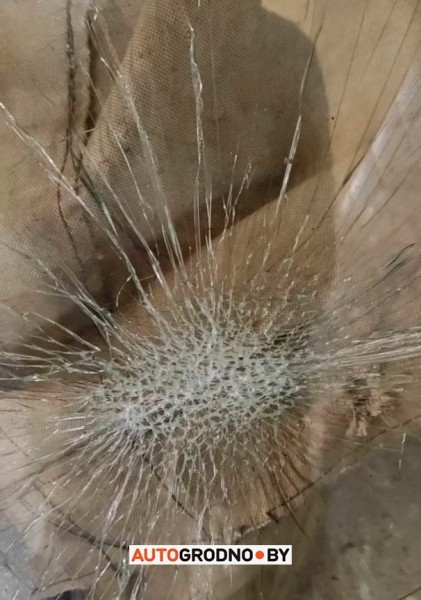 Самая дорога поездка в Польшу: поляк разбил белорусу стекло в очереди Самая дорога поездка в Польшу: поляк разбил белорусу стекло в очереди