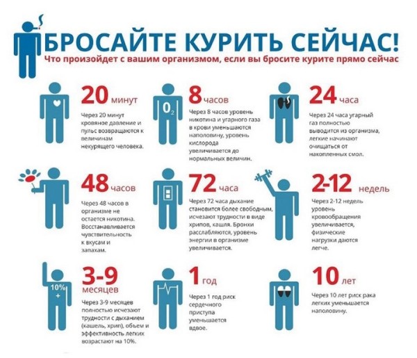 Вредны ли вейпы и электронные сигареты для здоровья? Как отказаться от перекуров или хотя бы сократить их количество?