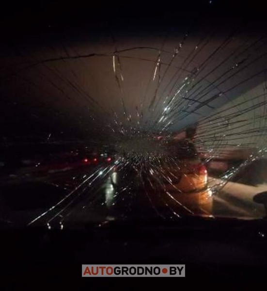 Самая дорога поездка в Польшу: поляк разбил белорусу стекло в очереди Самая дорога поездка в Польшу: поляк разбил белорусу стекло в очереди