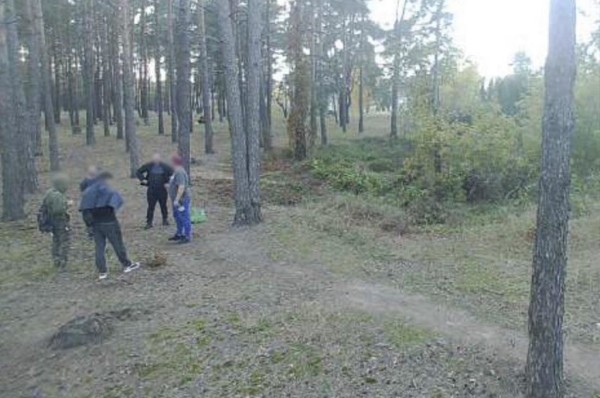 Показываем, что фиксируют фотоловушки в наших лесах Показываем, что фиксируют фотоловушки в наших лесах