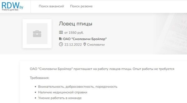 Топ необычных вакансий в Беларуси. Реальные объявления, которые вас удивят Топ необычных вакансий в Беларуси. Реальные объявления, которые вас удивят