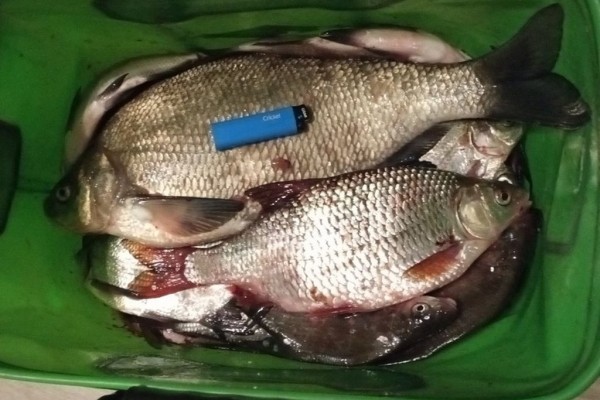 «Два часа шел 300 метров». История рыбака, которому снег отрезал дорогу домой