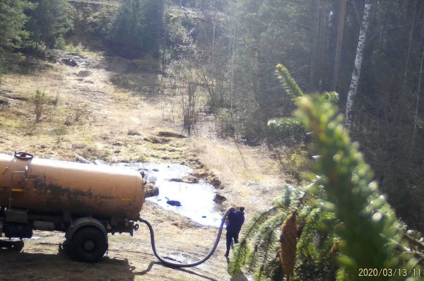 Показываем, что фиксируют фотоловушки в наших лесах Показываем, что фиксируют фотоловушки в наших лесах