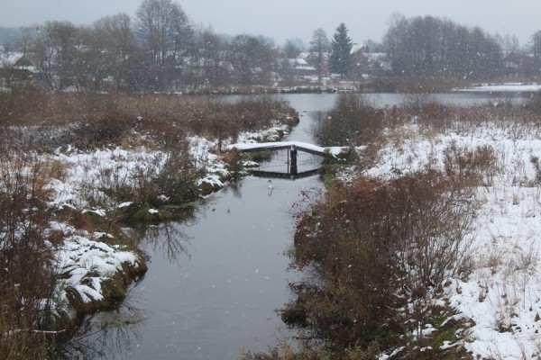 В Беларуси спасли лебедя. Подробности случая В Беларуси спасли лебедя. Подробности случая