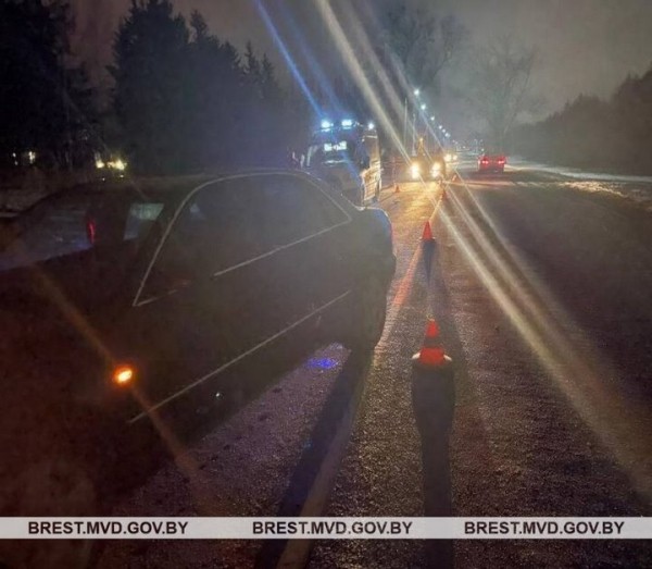 Два пьяных пешехода попали под колеса автомобилей в Брестской области Два пьяных пешехода попали под колеса автомобилей в Брестской области