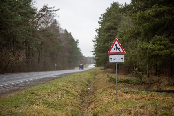 От испуга до «уголовки». Разбираемся, накажут ли водителя, если он сбил животное в зоне действия особого знака От испуга до «уголовки». Разбираемся, накажут ли водителя, если он сбил животное в зоне действия особого знака